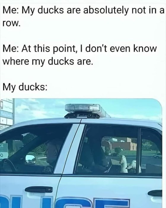 1000002611.jpeg