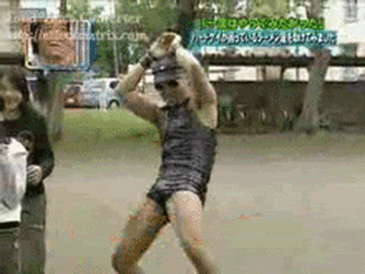 15333.gif