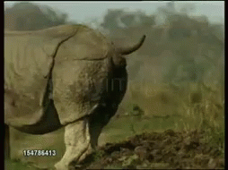 1569031418772.gif