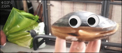 1571233752696.png