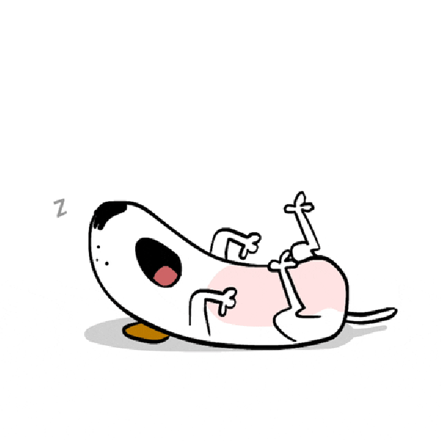 1572473744148.gif