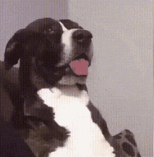 1609208543288.gif