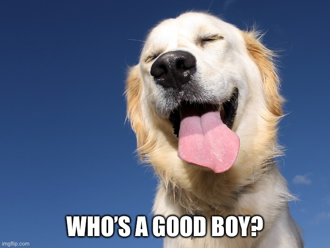 1750540373446.png