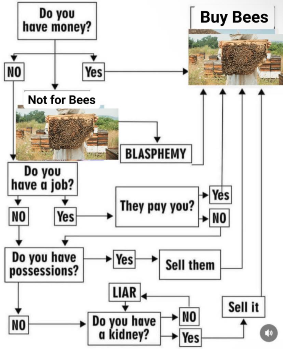 1753320847228.png