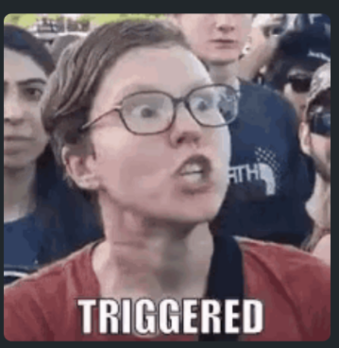 1754615240277.png