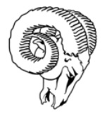 1979 Los Angeles Rams.jpg
