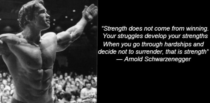 1991177381-arnold3.jpg