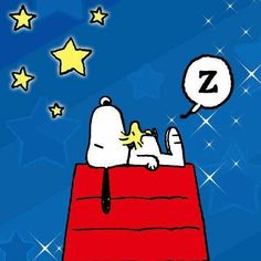 24bd9bc48f6aabf5df3ae551731bb5d6--peanuts-gang-goodnight-snoopy-1.jpg