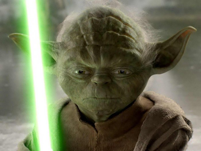 2Yoda(3).jpg