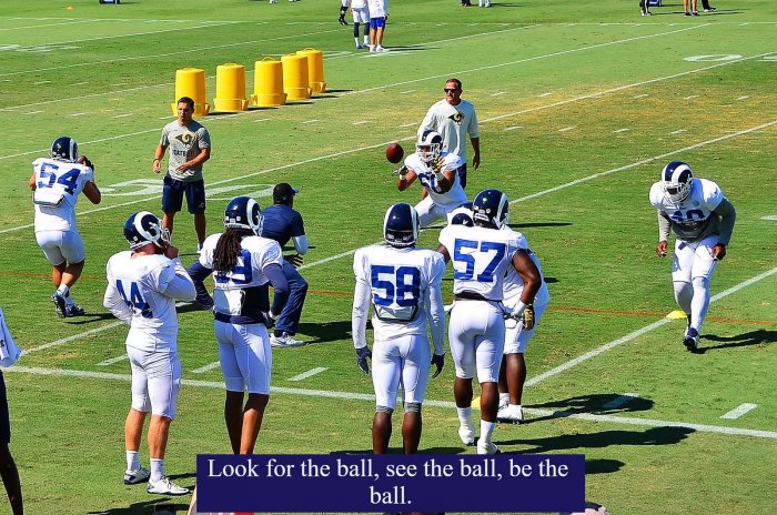 3 see the ball.jpg
