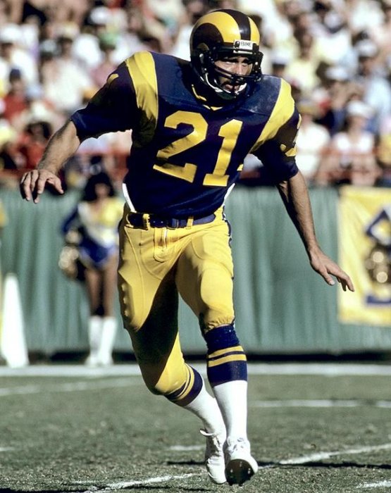 343c23906aa7d1421474fa1e0c4d56d7--la-rams-wild-ones.jpg