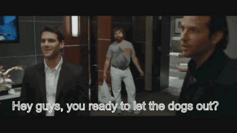 5F4F31C8-B857-4AFE-AA31-67B10CC15948.gif