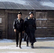 788.gif