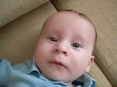 819A878E-85D1-4F3F-9C55-C9BD3F31EBCB.gif