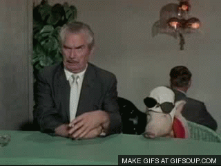 881E8901-B6DE-450A-875F-2F4D2D151B43.gif