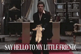 8F054018-4F3D-4FC5-AE31-B33725646B56.gif