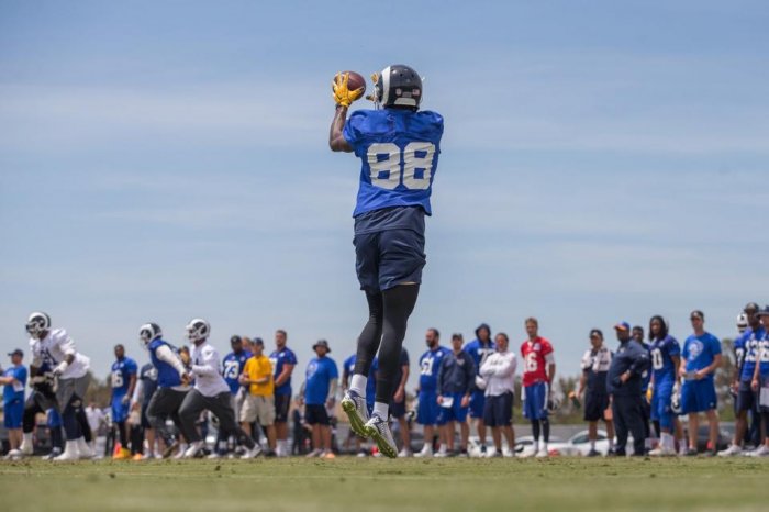 _VetMiniCamp_21.jpg