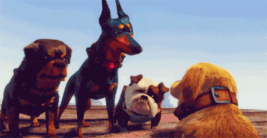 AE11390B-3951-4083-8C94-1AC3781B5A0B.gif