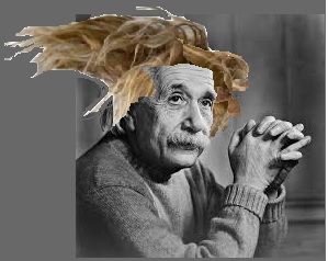 albert.jpg
