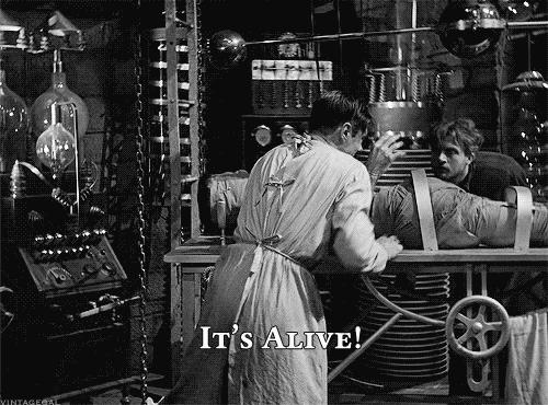 B3ED43BA-5547-4F1C-B797-8698A7307C64.gif