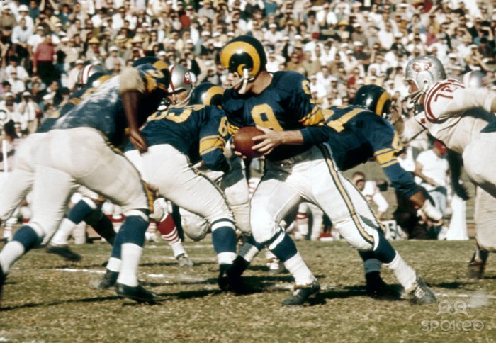 bill_wade_1962.jpg