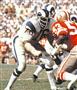 Brown_Bob_Rams_Color_2_5.jpg