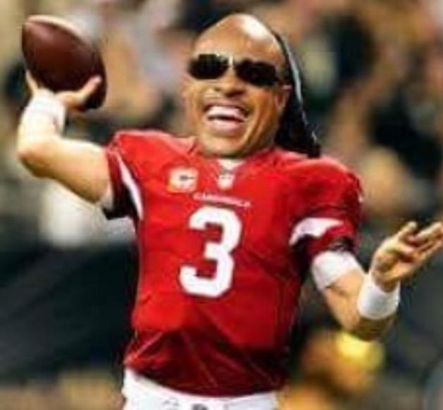 cardinals-vs-panthers-memes_2 (1).jpg
