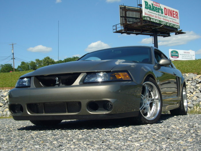 Cobra1.jpg