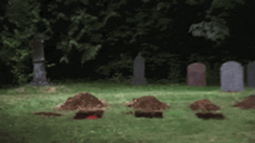 D4A65ABB-2DF7-4B7F-88A9-D360934FD05E.gif