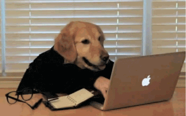 dog.gif