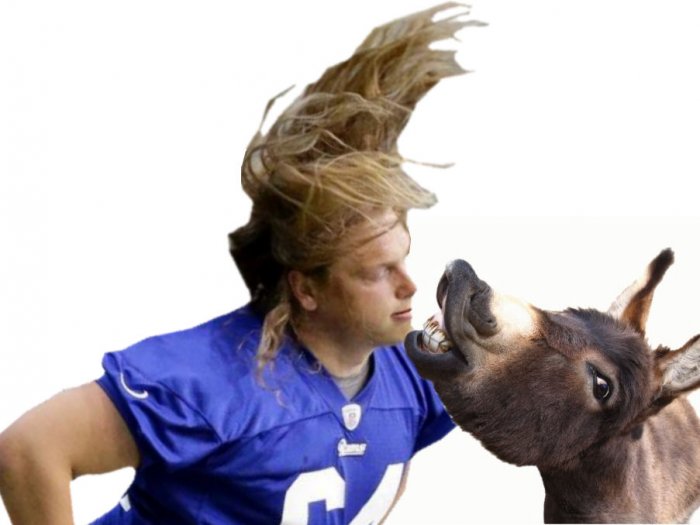 donkey.jpg