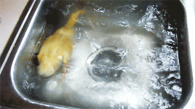 duck.gif