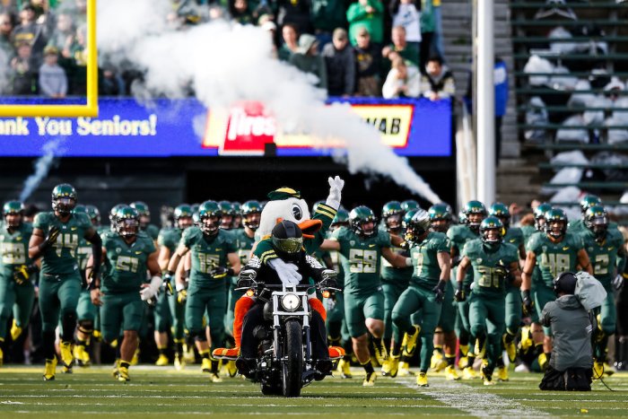 ducks run onto field.jpg