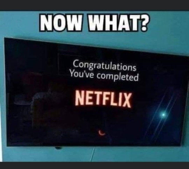 end of netflix meme.jpeg