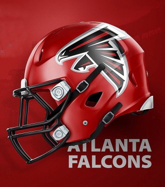 falcons2.jpg