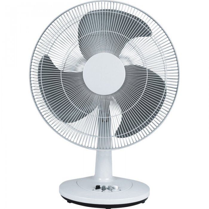 fan1.jpg