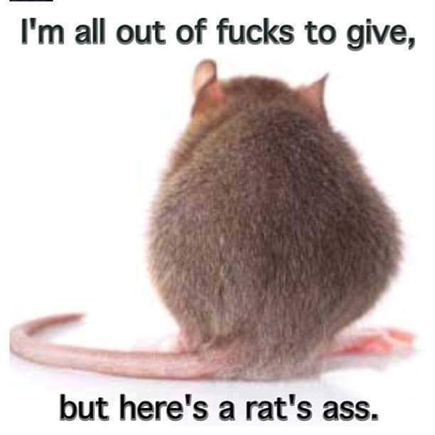 FB_IMG_14625319888681.jpg