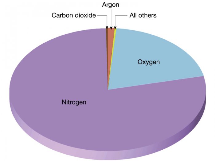 FIG01_010.JPG