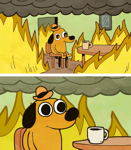 giphy (1).gif