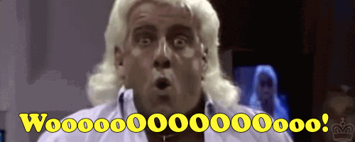 giphy (3).gif