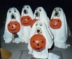 halloween dog offensive images swastika sheets.jpg