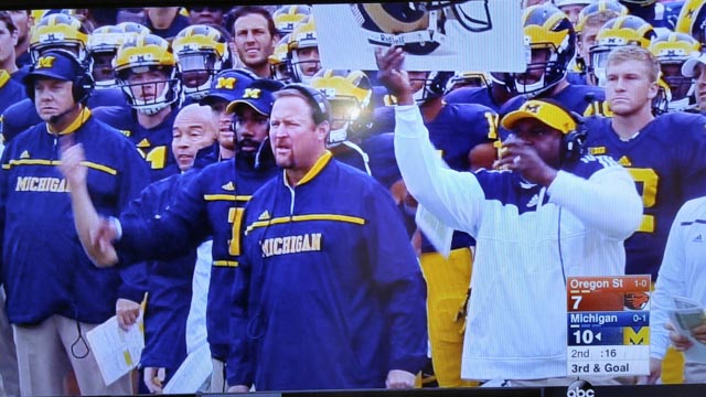 Harbaugh Rams fan.jpg