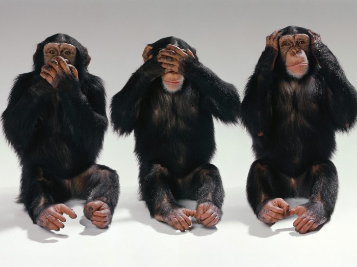 Hear-No-Evil-See-No-Evil-Speak-No-Evil.jpg