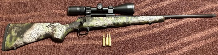 Howa 65.JPG
