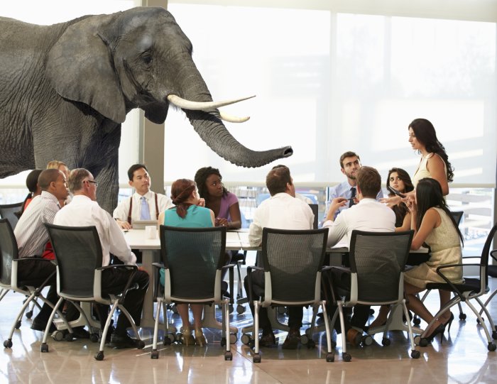 Ignoring-the-Elephant.jpg
