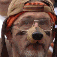 image.gif