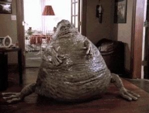 image.gif