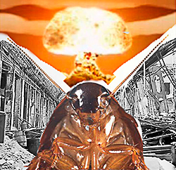 image.jpeg