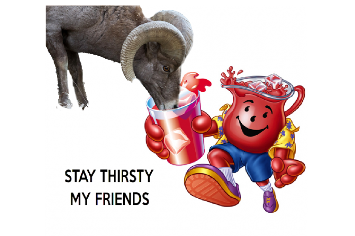 IMG_0093.PNG