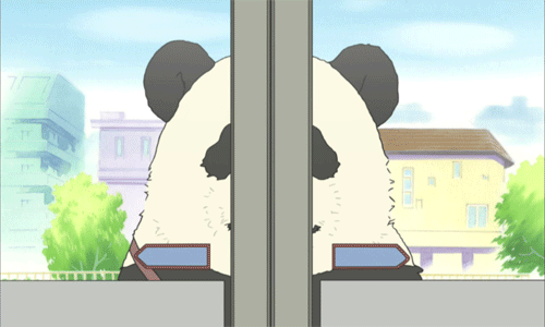 IMG_0838.GIF